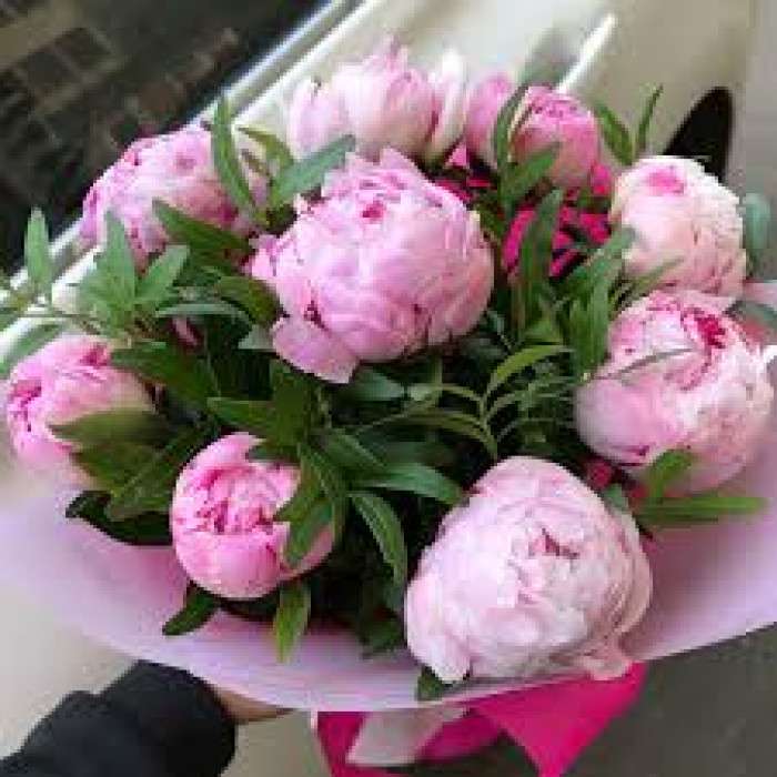 Пион древовидный в Кульсаре