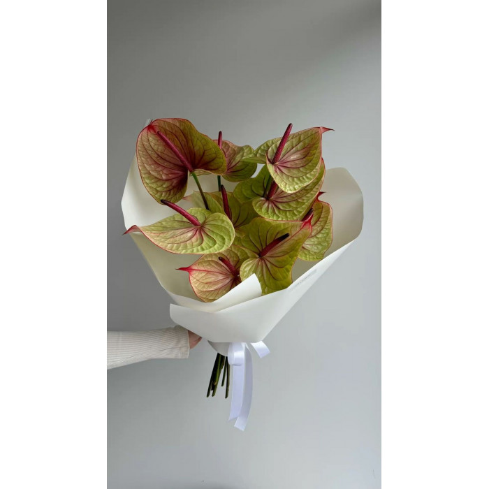 Антуриумы в Кульсаре