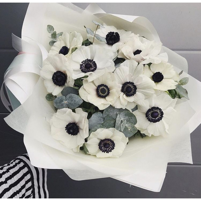 Анемоны в Кульсаре