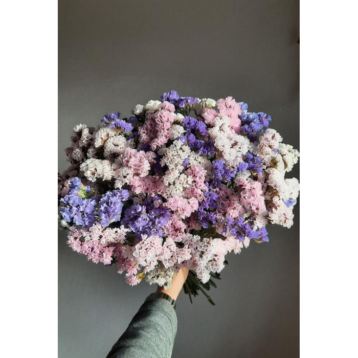 Статица (Лимониум) в Кульсаре