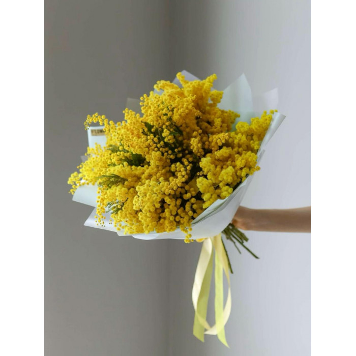 Мимоза в Кульсаре