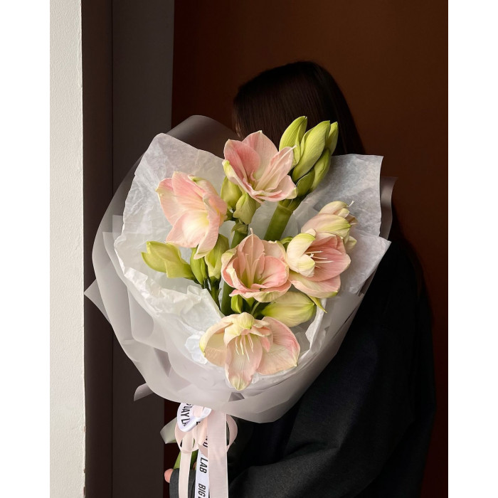 Амариллис в Кульсаре