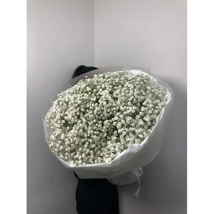 Гипсофила классическая в Кульсаре