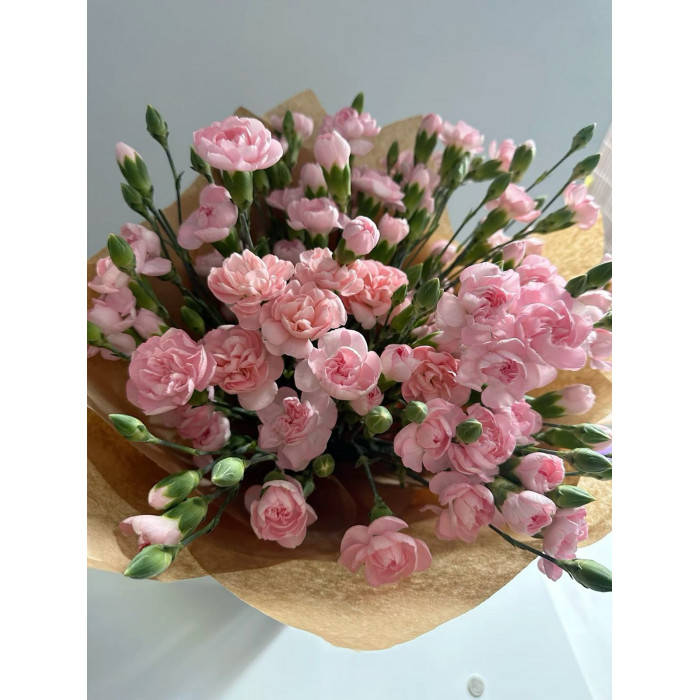 Кустовые гвоздики в Кульсаре