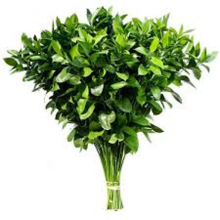 Рускус в Кульсаре