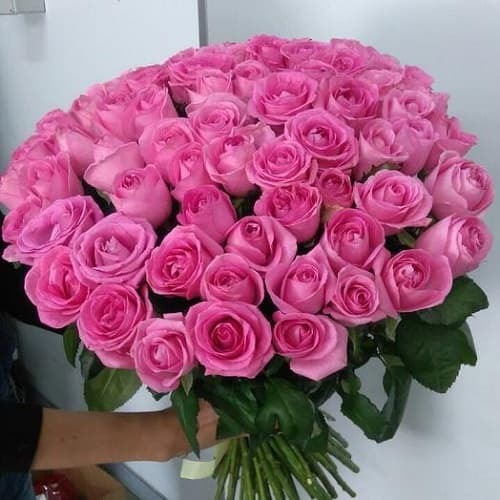 Купить на заказ Букет из 75 розовых роз с доставкой в Кульсарах