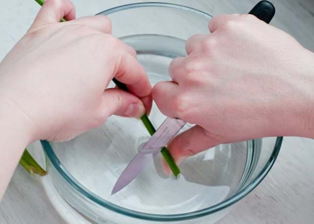 Как менять воду розам в вазе